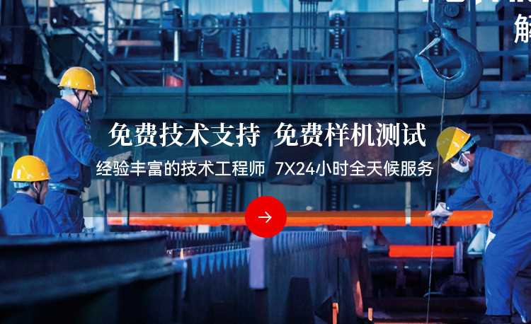 瑞莱恩斯