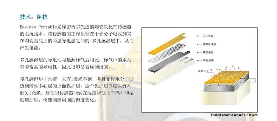 Easidew 便携式湿度仪